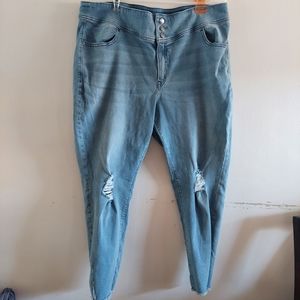 lane bryant flex magic waistband